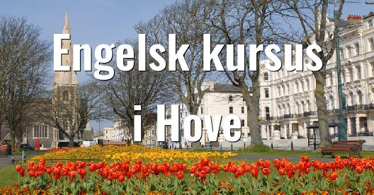 Facebook Share Box bybillede