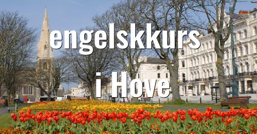 Facebook delingsboks bybilde