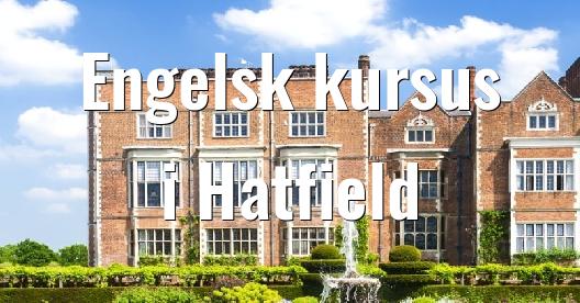 Facebook Share Box bybillede