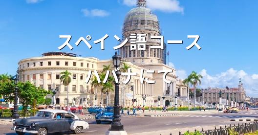 Facebook共有ボックスの都市イメージ