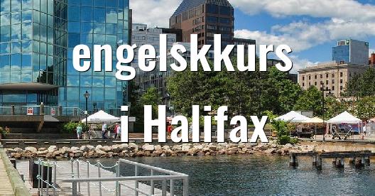 Facebook delingsboks bybilde