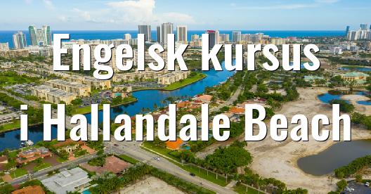 Facebook Share Box bybillede