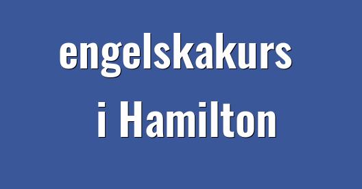 Facebook delningsbox stadssida