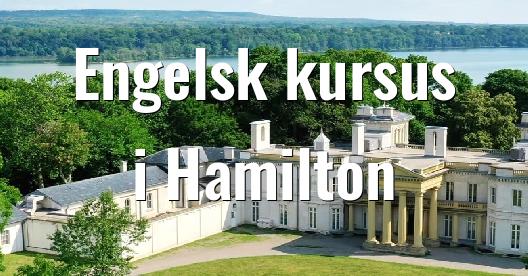 Facebook Share Box bybillede