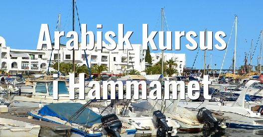 Facebook Share Box bybillede