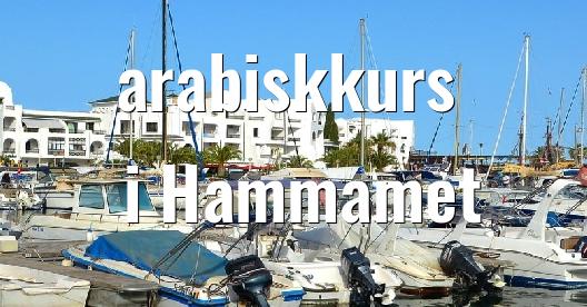 Facebook delingsboks bybilde