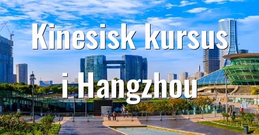 Facebook Share Box bybillede