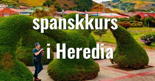 Facebook delingsboks bybilde