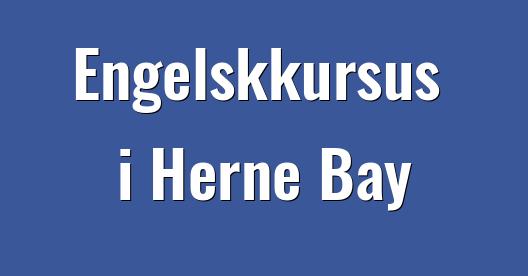 Facebook Share Box bybillede