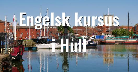 Facebook Share Box bybillede