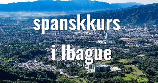 Facebook delingsboks bybilde