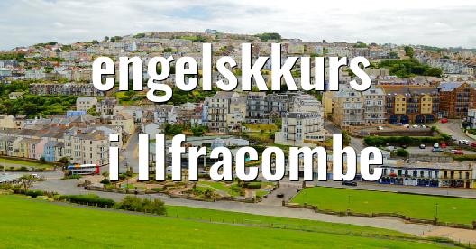 Facebook delingsboks bybilde