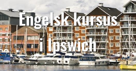 Facebook Share Box bybillede