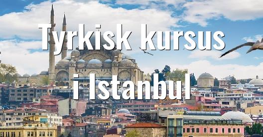 Facebook Share Box bybillede