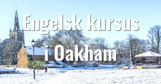 Facebook Share Box bybillede