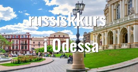 Facebook delingsboks bybilde