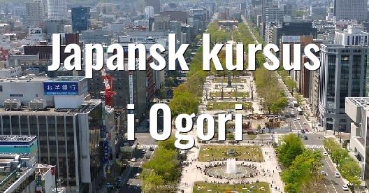 Facebook Share Box bybillede