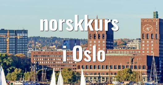 Facebook delingsboks bybilde