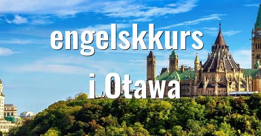 Facebook delingsboks bybilde