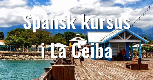 Facebook Share Box bybillede