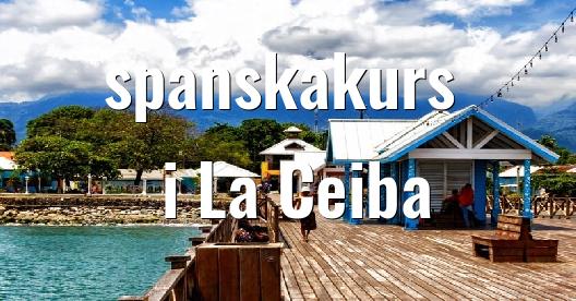 Facebook delningsbox stadssida