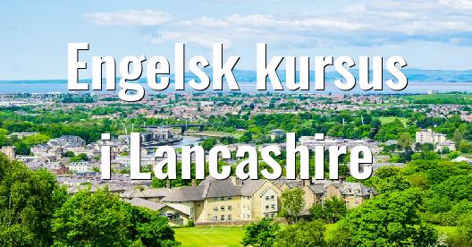 Facebook Share Box bybillede