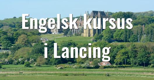 Facebook Share Box bybillede