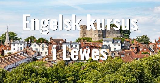 Facebook Share Box bybillede