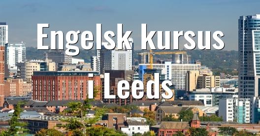 Facebook Share Box bybillede