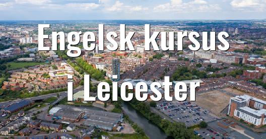 Facebook Share Box bybillede