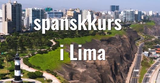 Facebook delingsboks bybilde