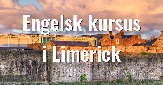 Facebook Share Box bybillede