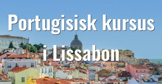 Facebook Share Box bybillede