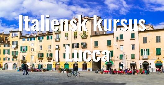 Facebook Share Box bybillede