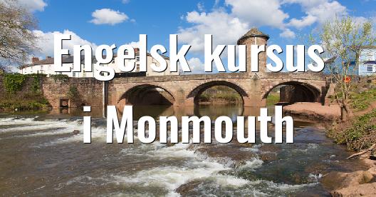 Facebook Share Box bybillede