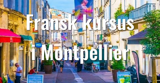 Facebook Share Box bybillede