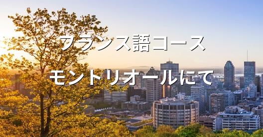 Facebook共有ボックスの都市イメージ