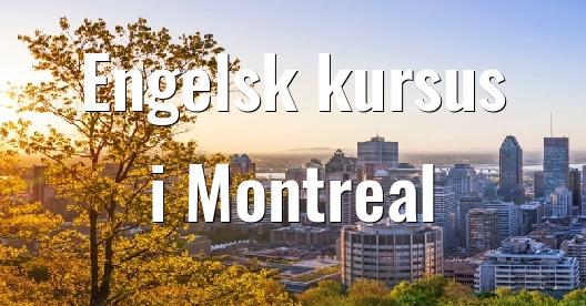 Facebook Share Box bybillede