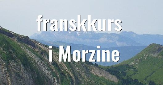 Facebook delingsboks bybilde