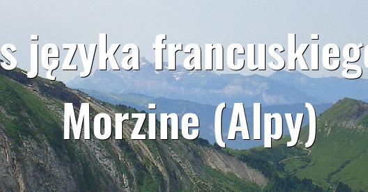 Facebook dzielenie obrazu miasta