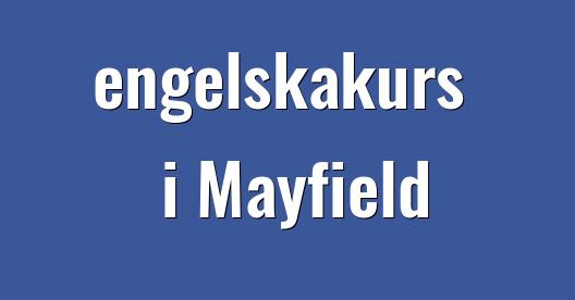 Facebook delningsbox stadssida