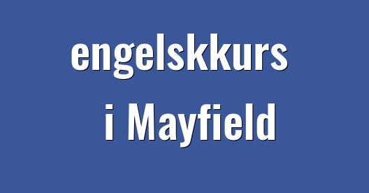 Facebook delingsboks bybilde