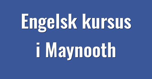 Facebook Share Box bybillede