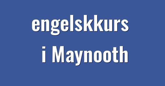 Facebook delingsboks bybilde