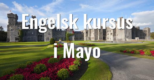 Facebook Share Box bybillede