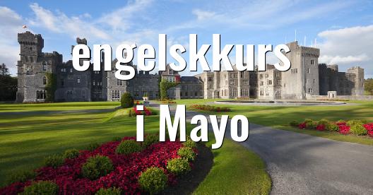 Facebook delingsboks bybilde