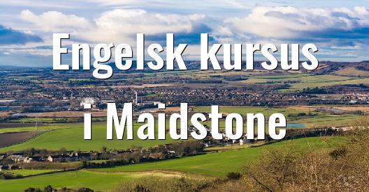 Facebook Share Box bybillede