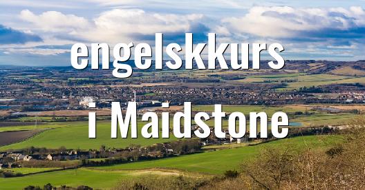 Facebook delingsboks bybilde