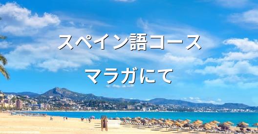Facebook共有ボックスの都市イメージ