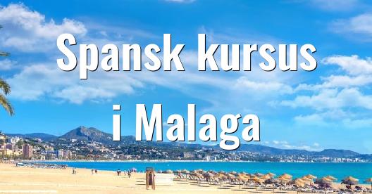 Facebook Share Box bybillede